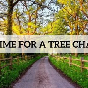 time-for-a-tree-change