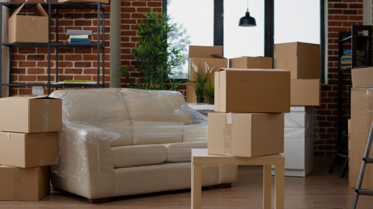 furniture removalists